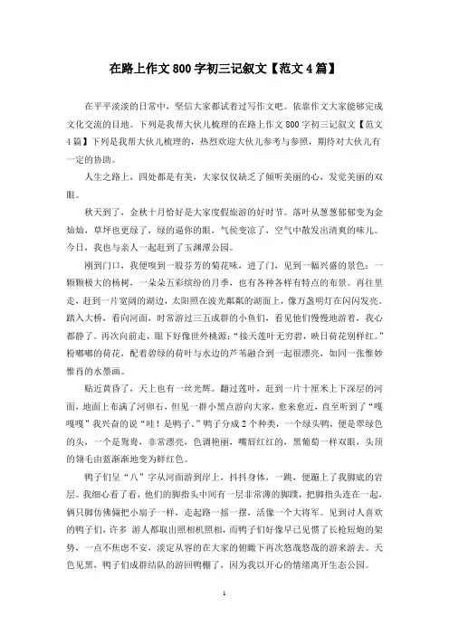 在路上作文800字初三记叙文(4篇)