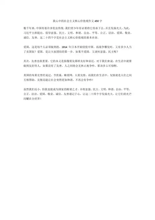 我心中的社会主义核心价值观作文450字