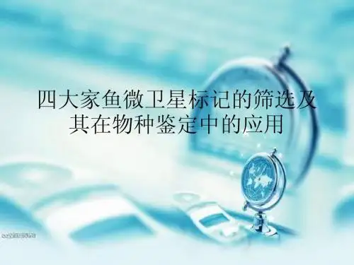 四大家鱼微卫星标记的筛选及其在物种鉴定中的应用