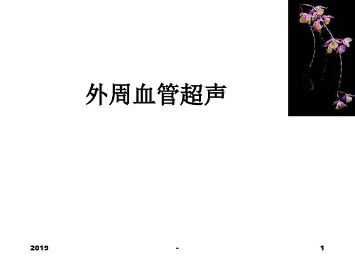 外周血管超声表现ppt课件