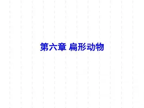 第六章 扁形动物