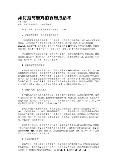 如何提高雏鸡的育雏成活率