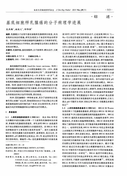与基底细胞样乳腺癌的分子病理学进展