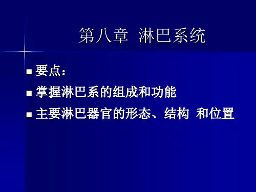 动物解剖学  第八章 淋巴系统