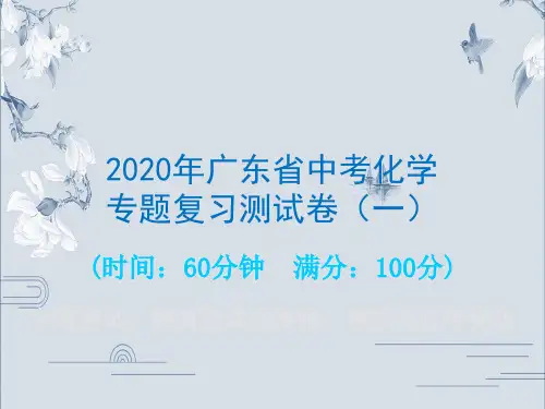 2020年广东省中考化学专题复习考试测试卷(一 物质构成的奥秘、物质的化学变化)(共31张PPT)