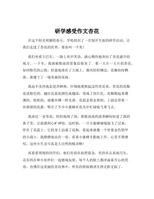 研学感受作文杏花