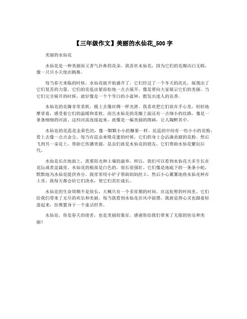 【三年级作文】美丽的水仙花_500字