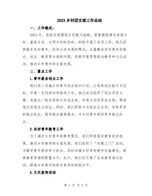 2023乡村团支部工作总结