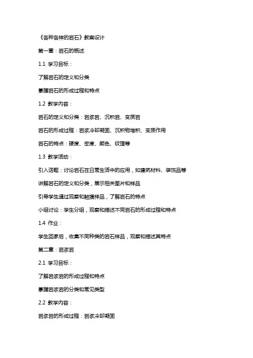 《各种各样的岩石》教案设计
