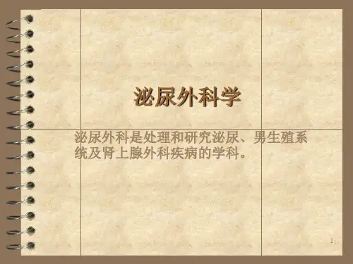 泌尿外科讲课常见症状ppt课件