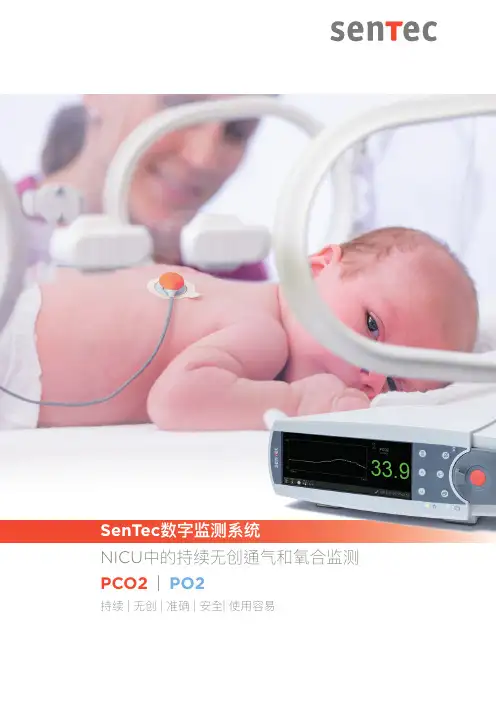 SenTec数字监测系统说明书