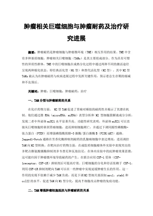 肿瘤相关巨噬细胞与肿瘤耐药及治疗研究进展