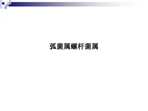 弧菌属螺杆菌属