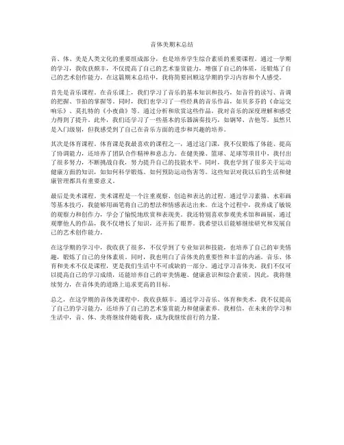 音体美期末总结