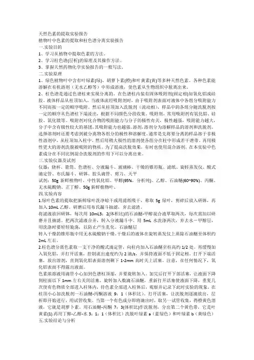天然色素的提取实验报告