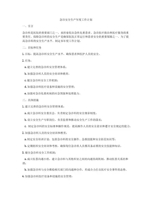 急诊安全生产年度工作计划