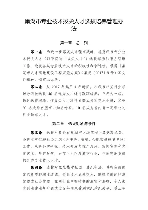 巢湖专业技术拔尖人才选拔培养管理办法