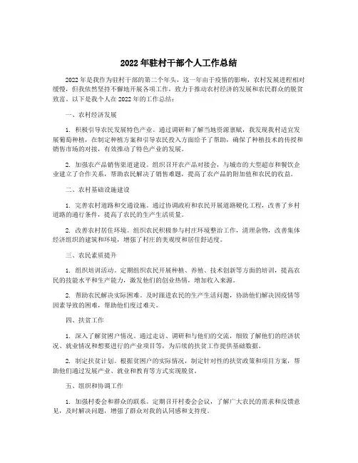 2022年驻村干部个人工作总结