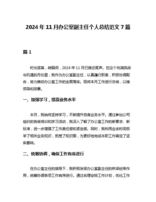2024年11月办公室副主任个人总结范文7篇