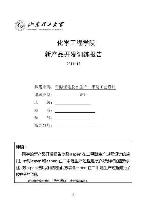 甲醇催化脱水生产二甲醚工艺设计-荆洁302