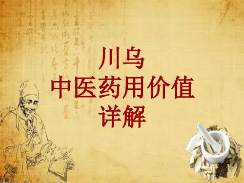 中药学_川乌_药材详解课件模板
