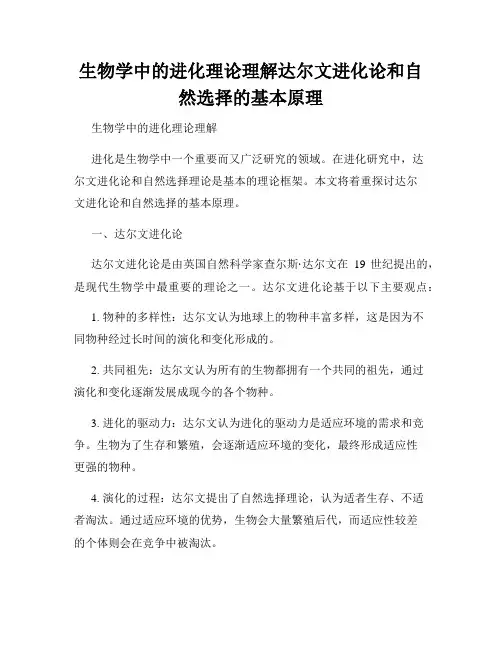 生物学中的进化理论理解达尔文进化论和自然选择的基本原理