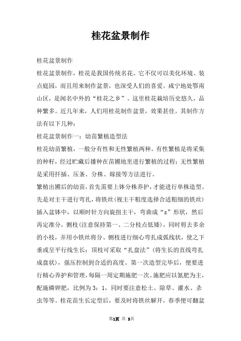 桂花盆景制作