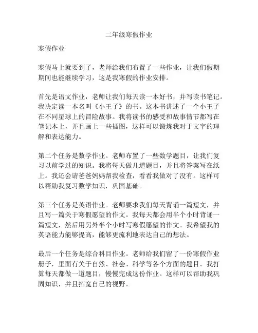 二年级寒假作业