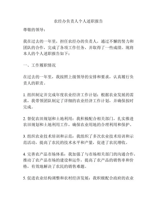 农经办负责人个人述职报告
