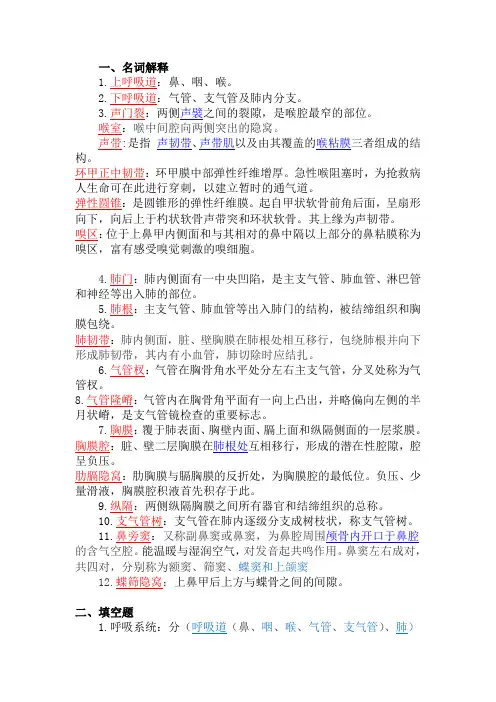 解剖学练习题—呼吸系统