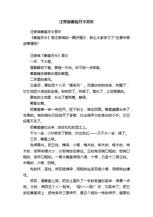 汪曾祺葡萄月令赏析