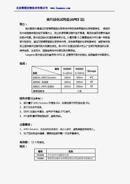 玻片硅化试剂盒(APES法)