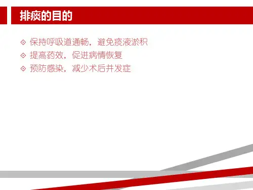促进有效排痰.ppt