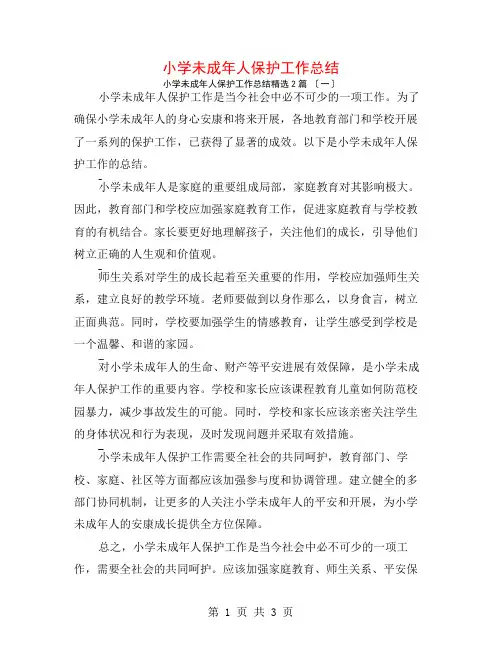 小学未成年人保护工作总结2篇
