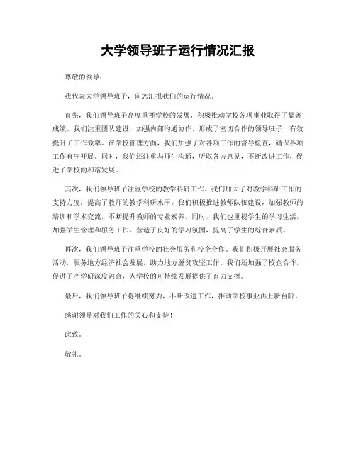 大学领导班子运行情况汇报