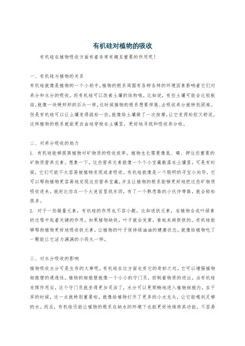 有机硅对植物的吸收
