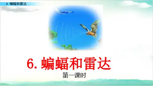 《蝙蝠和雷达》PPT课件_人教版52