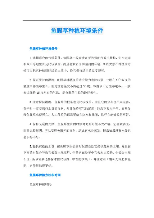 鱼腥草种植环境条件