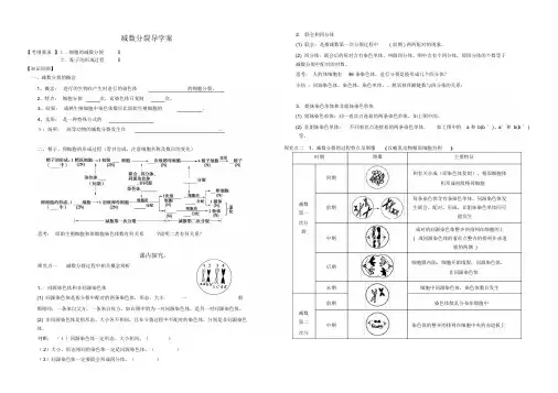 高三一轮复习减数分裂导学案