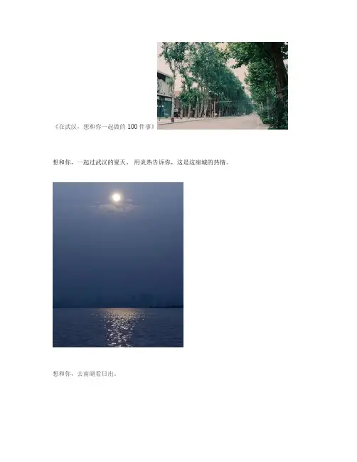 《在武汉,想和你一起做的100件事》_图文(精)