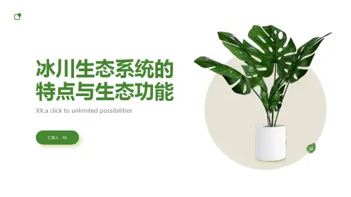 冰川生态系统的特点与生态功能