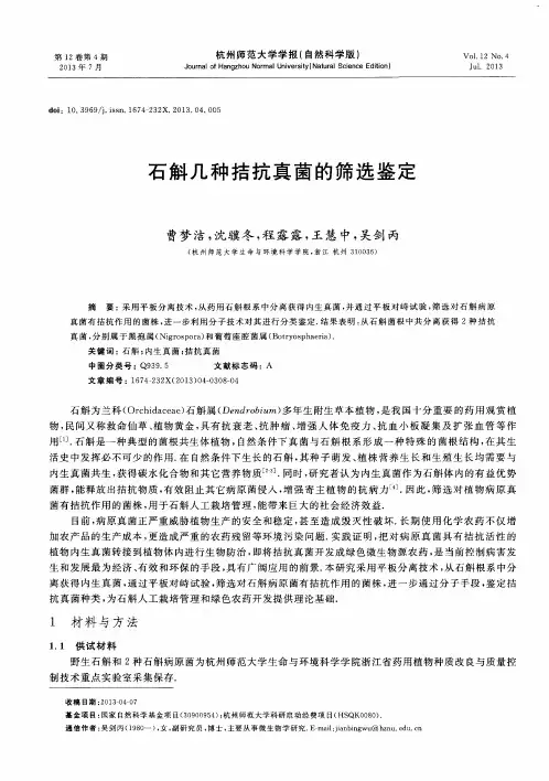 石斛几种拮抗真菌的筛选鉴定