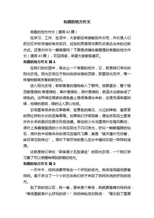 有趣的地方作文
