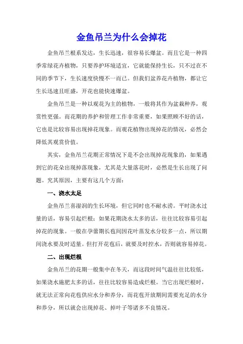 金鱼吊兰为什么会掉花