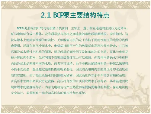炉水循环泵(BCP)