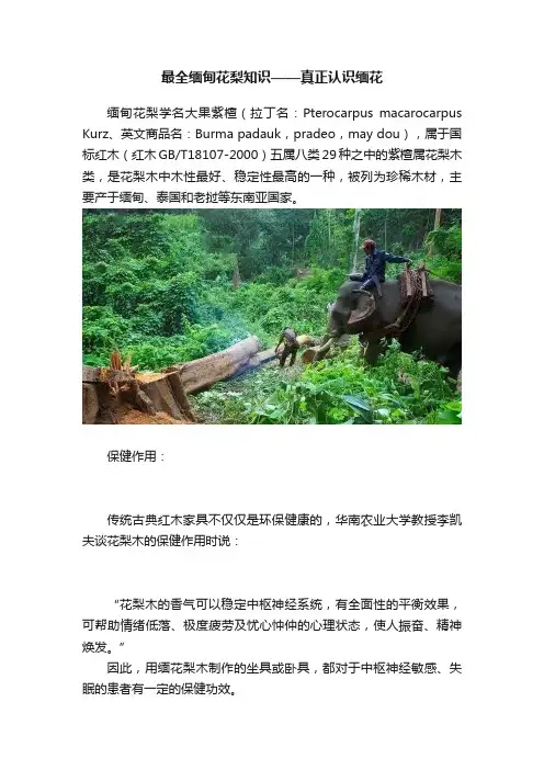 最全缅甸花梨知识——真正认识缅花
