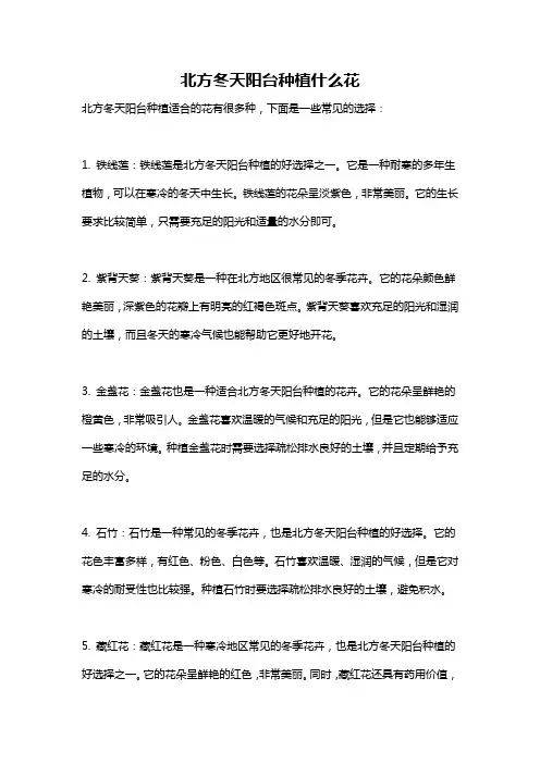 北方冬天阳台种植什么花
