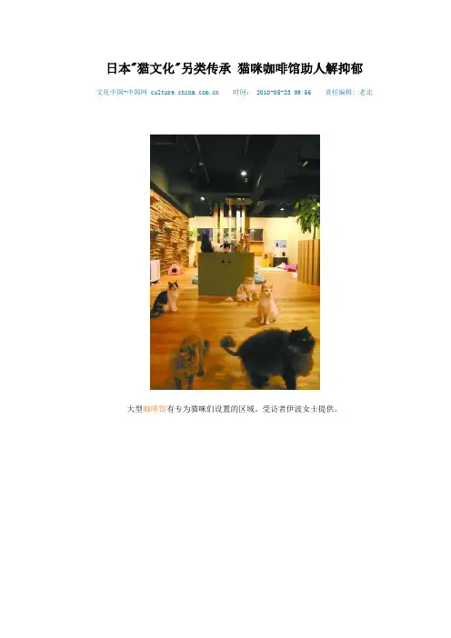 日本猫文化另类传承 猫咪咖啡馆助人解抑郁