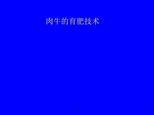 《肉牛的育肥技术》PPT课件