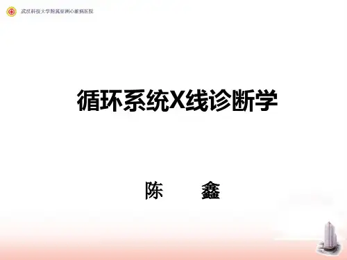 循环系统X线诊断  亚心班2